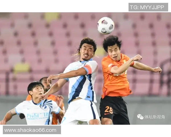 南京乒乓球队在杯赛中的团队协作表现分析与点评